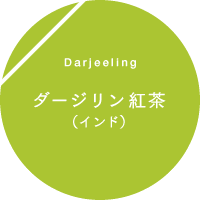 Darjeeling ダージリン紅茶（インド）